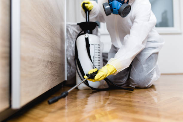 Pest Prevention Services in Belleville, MI
