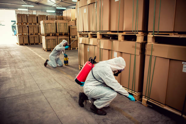Best Wildlife Control Services  in Belleville, MI