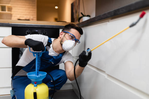 Best Exterminator Services  in Belleville, MI