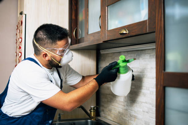 Best Rat Extermination Near Me  in Belleville, MI