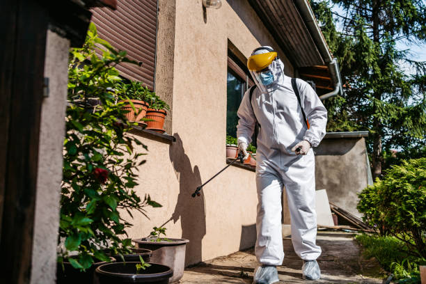 Best Best Pest Control Companies  in Belleville, MI