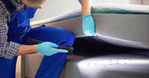 Best Affordable Pest Control Services  in Belleville, MI