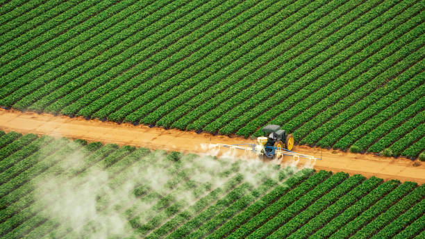 Best Pest Control Cost  in Belleville, MI