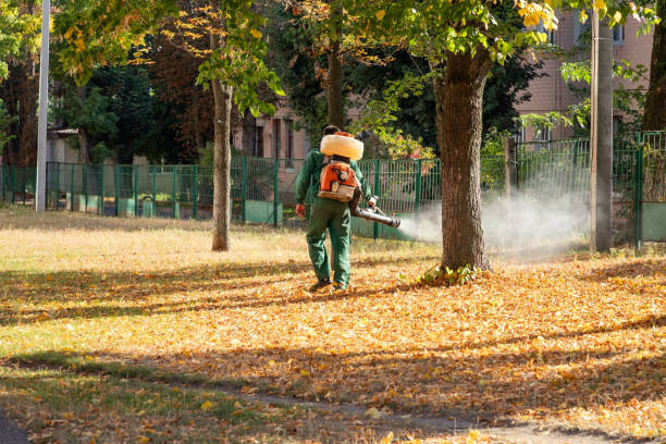Spider Control Near Me in Belleville, MI