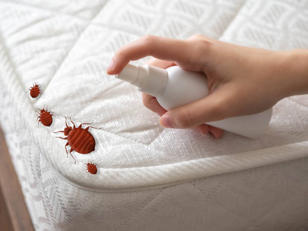 Pest Control Cost in Belleville, MI