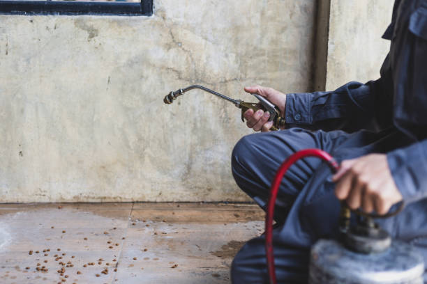 Best Emergency Pest Control  in Belleville, MI