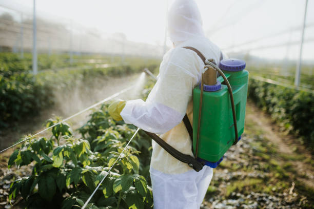 Best Termite Control Services  in Belleville, MI